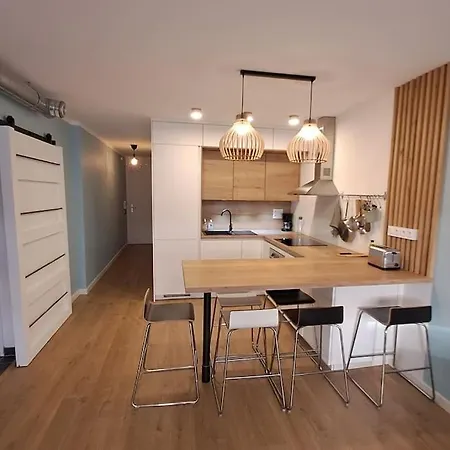 Appartement Cozy Et Calme A Grenoble